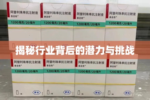 宿迁揭秘行业背后的潜力与挑战
