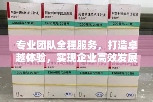 宿迁专业团队全程服务，打造卓越体验，实现企业高效发展
