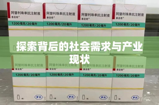 宿迁探索背后的社会需求与产业现状