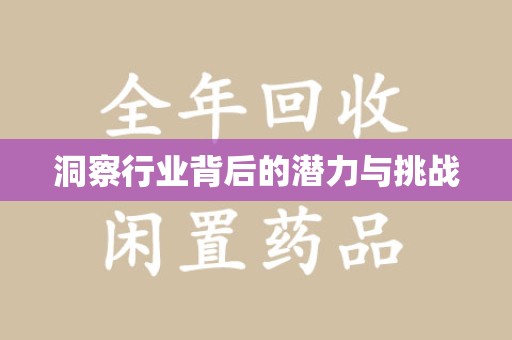 宿迁洞察行业背后的潜力与挑战
