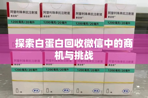 宿迁探索白蛋白回收微信中的商机与挑战